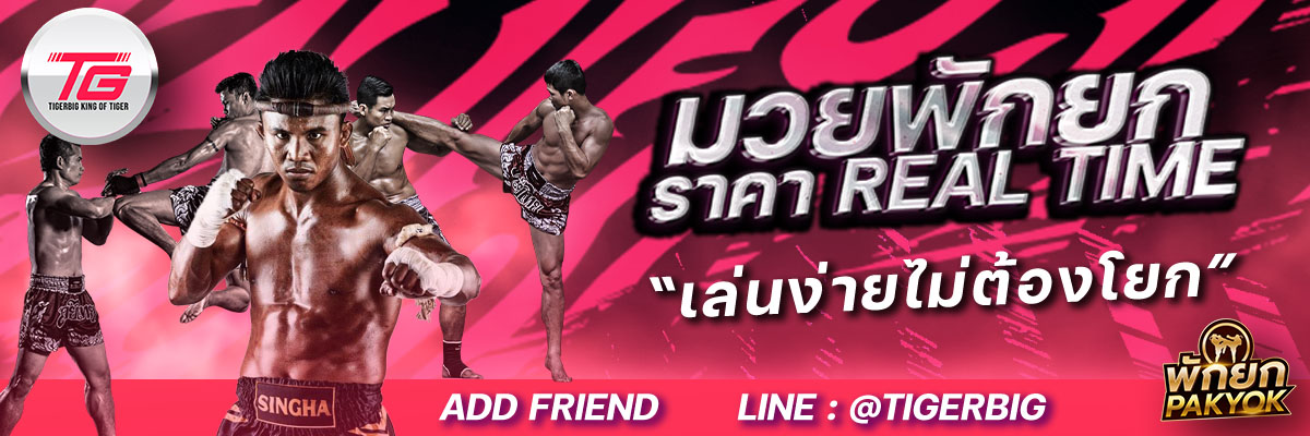 มวยพักยก TIGERBIG