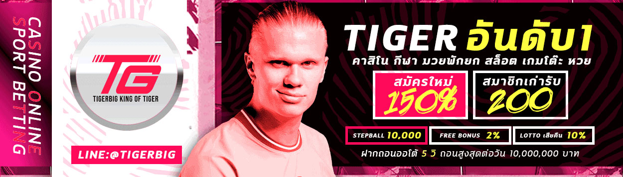เว็บอันดับ 1 TIGERBIG