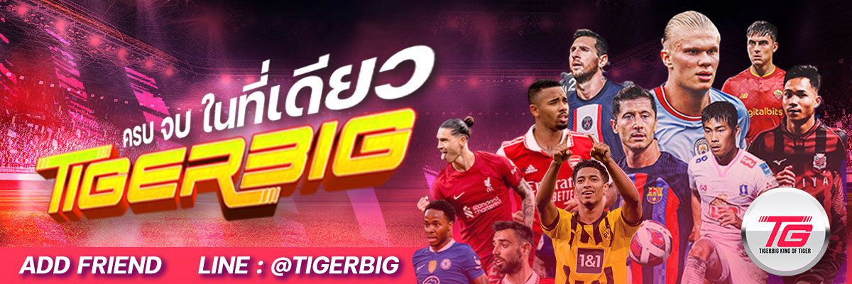 ครบจบในที่เดียว TIGERBIG